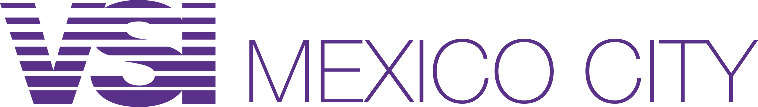 VSIMexicoCityLogo
